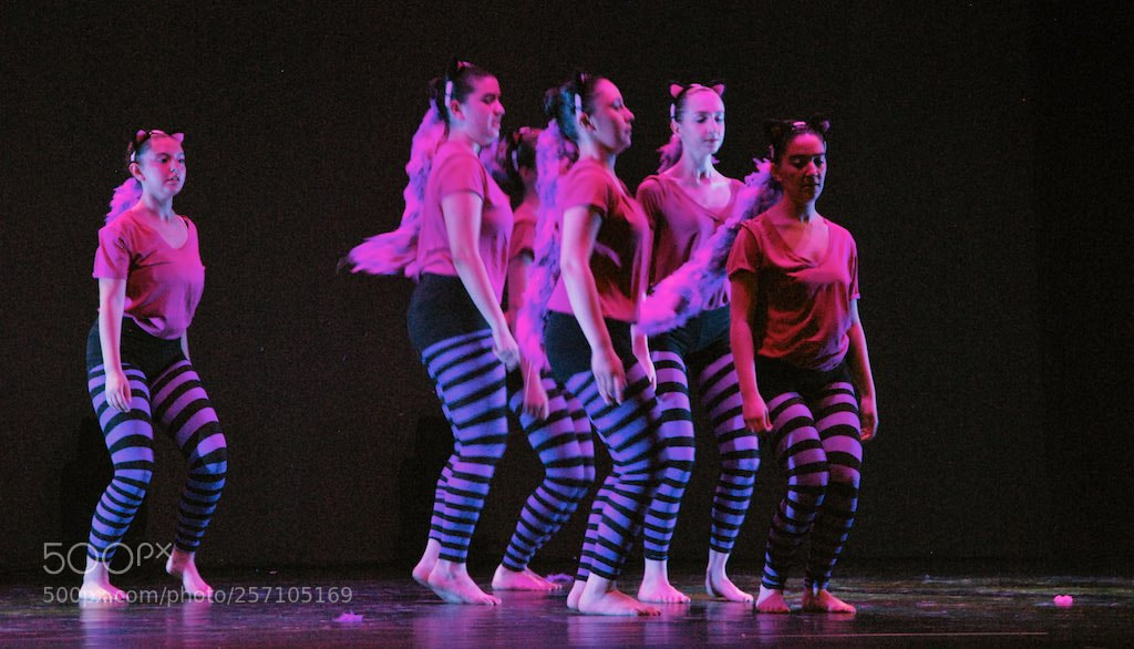 Nikon D60 sample photo. Version photography