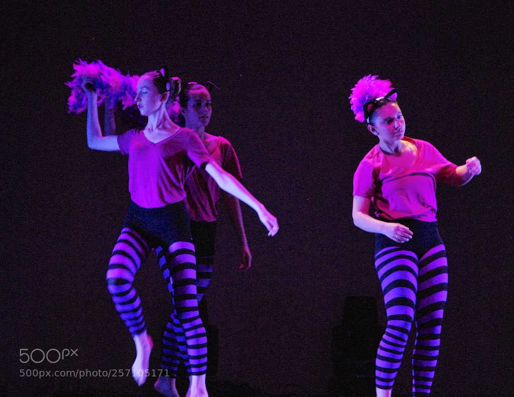 Nikon D60 sample photo. Version photography