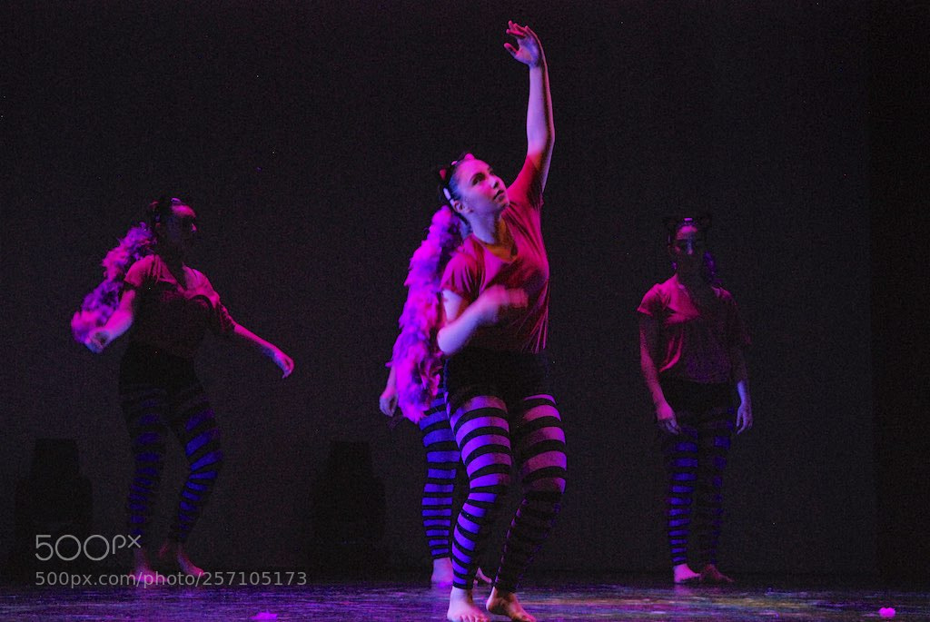 Nikon D60 sample photo. Version photography