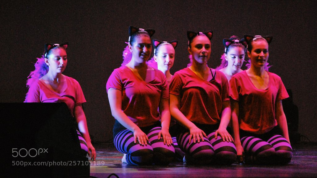 Nikon D60 sample photo. Version photography