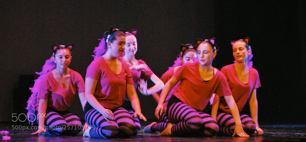 Nikon D60 sample photo. Version photography