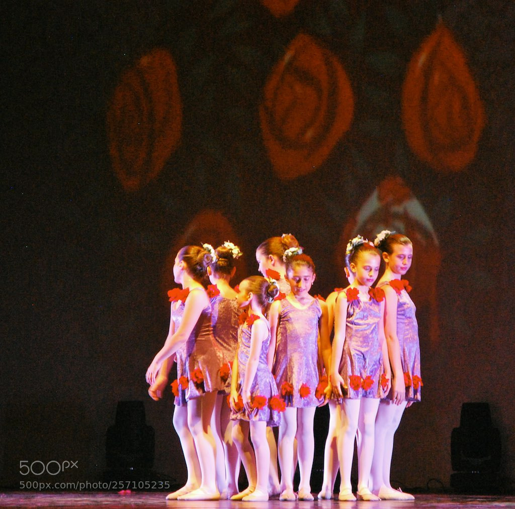 Nikon D60 sample photo. Version photography