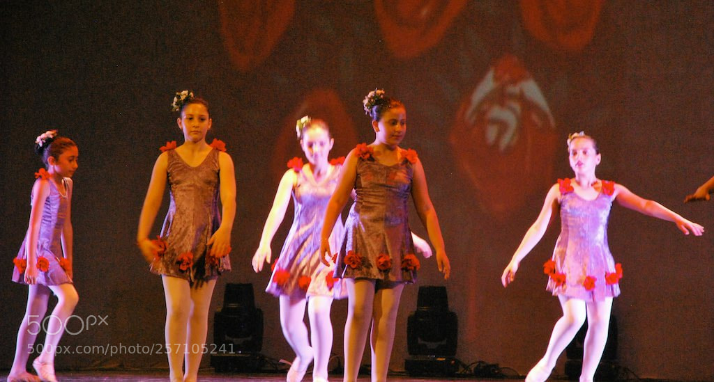 Nikon D60 sample photo. Version photography