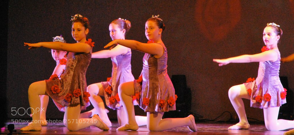 Nikon D60 sample photo. Version photography