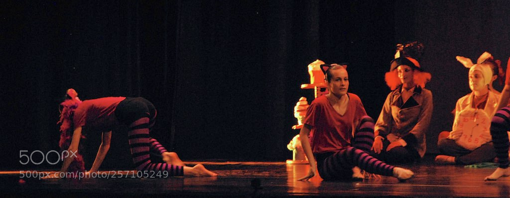 Nikon D60 sample photo. Version photography