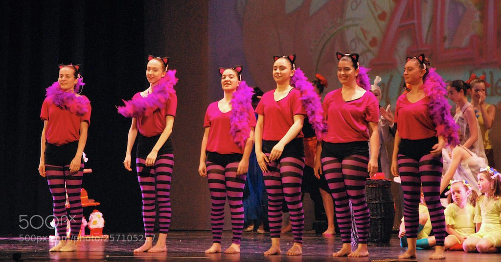 Nikon D60 sample photo. Version photography
