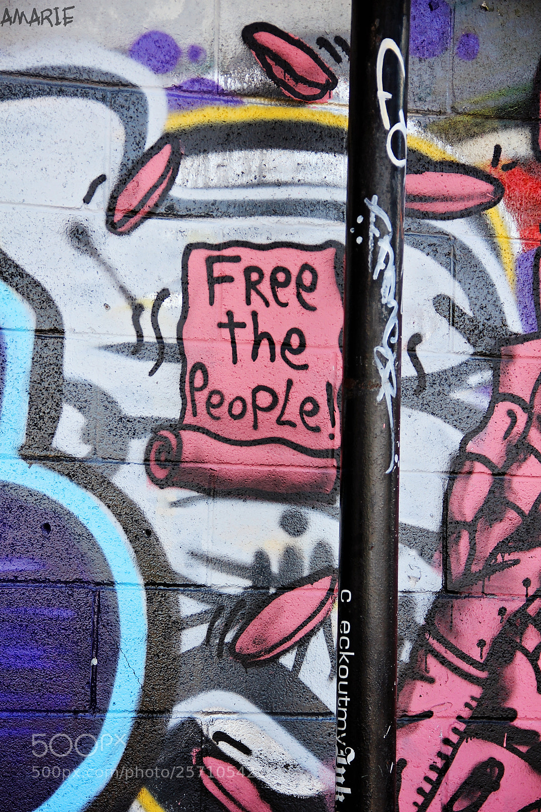Canon EOS 7D sample photo. Houstonart.jpg photography
