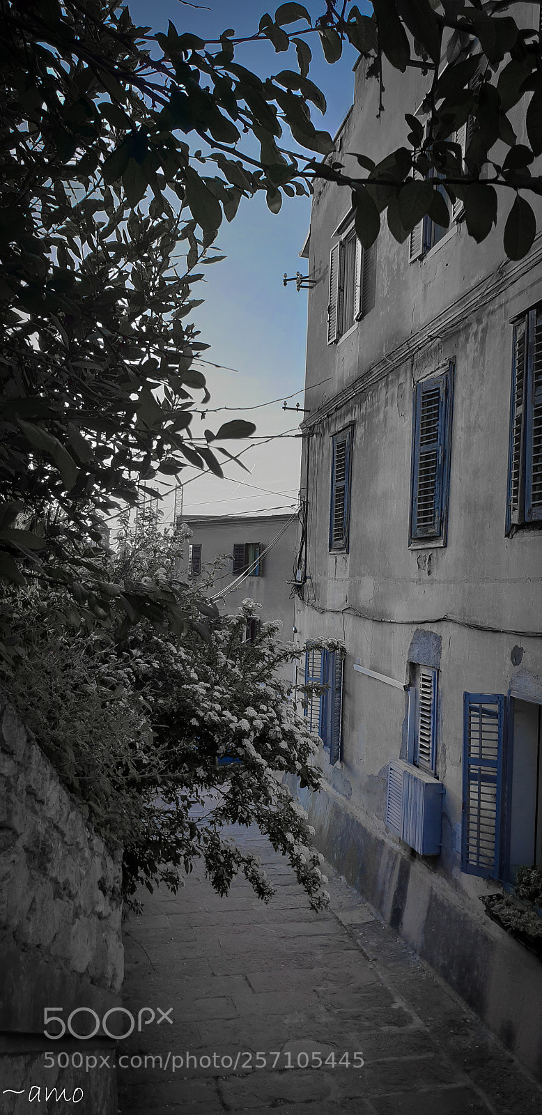 Samsung Galaxy S9+ sample photo. Window shutters. photography