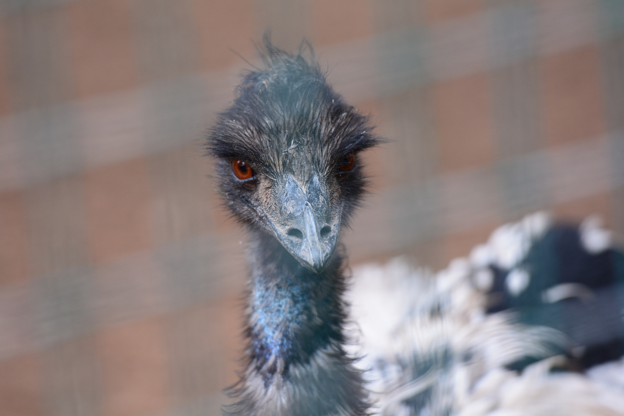 Nikon AF-S Nikkor 70-200mm F2.8G ED VR II sample photo