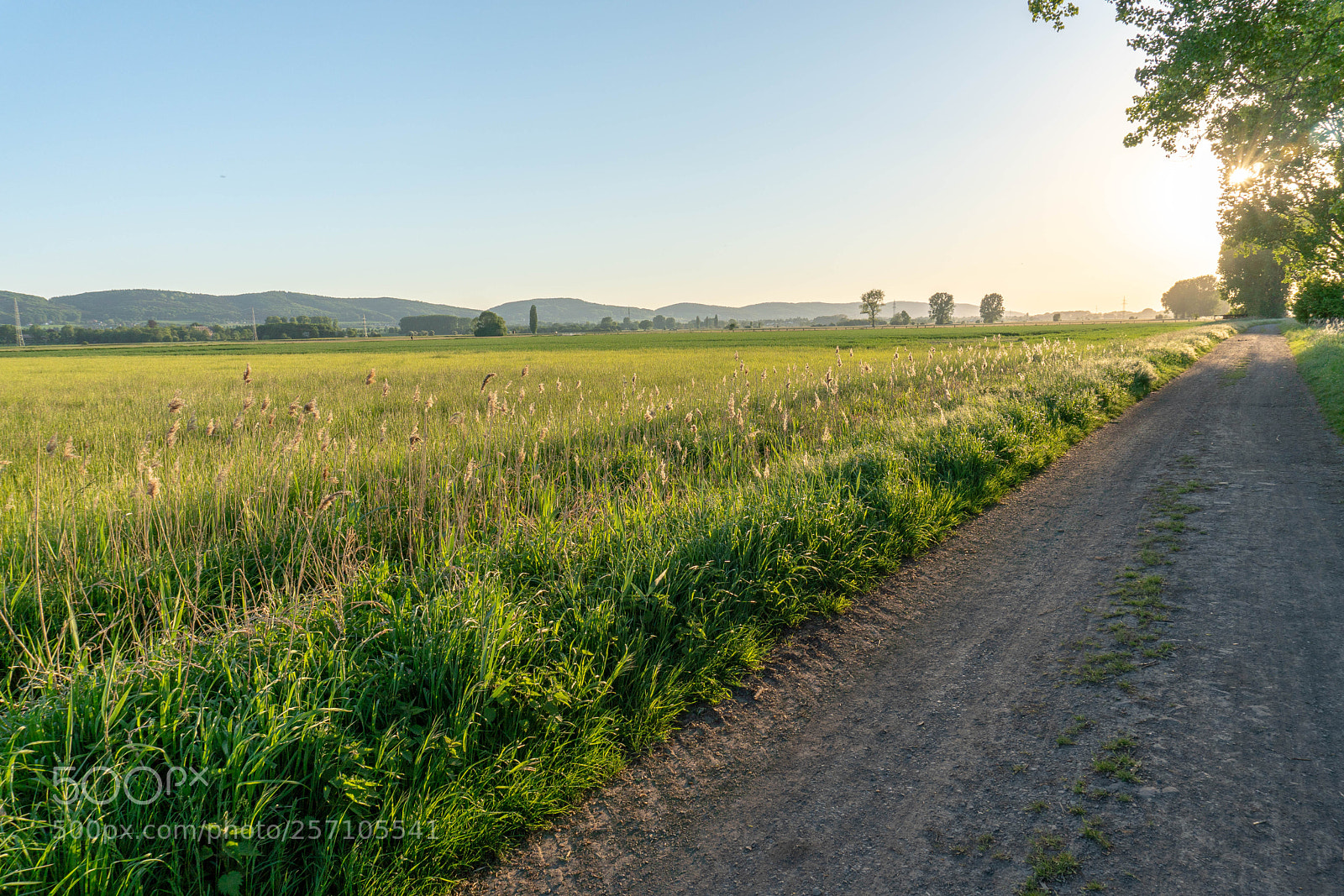 Sony a6300 sample photo. Mindener bastauwiesen photography