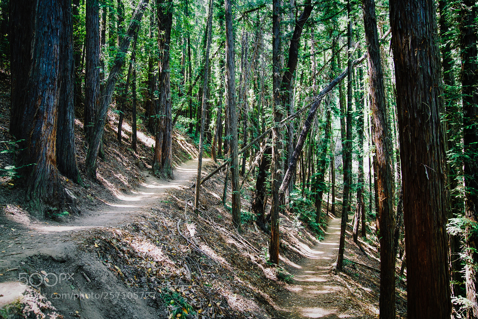 Sony a7R II sample photo. Highside & lowside photography