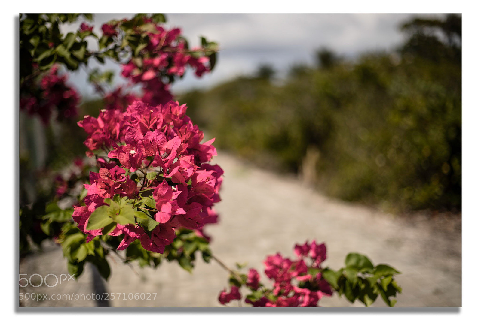 Canon EOS 6D Mark II sample photo. Descontraindo. photography