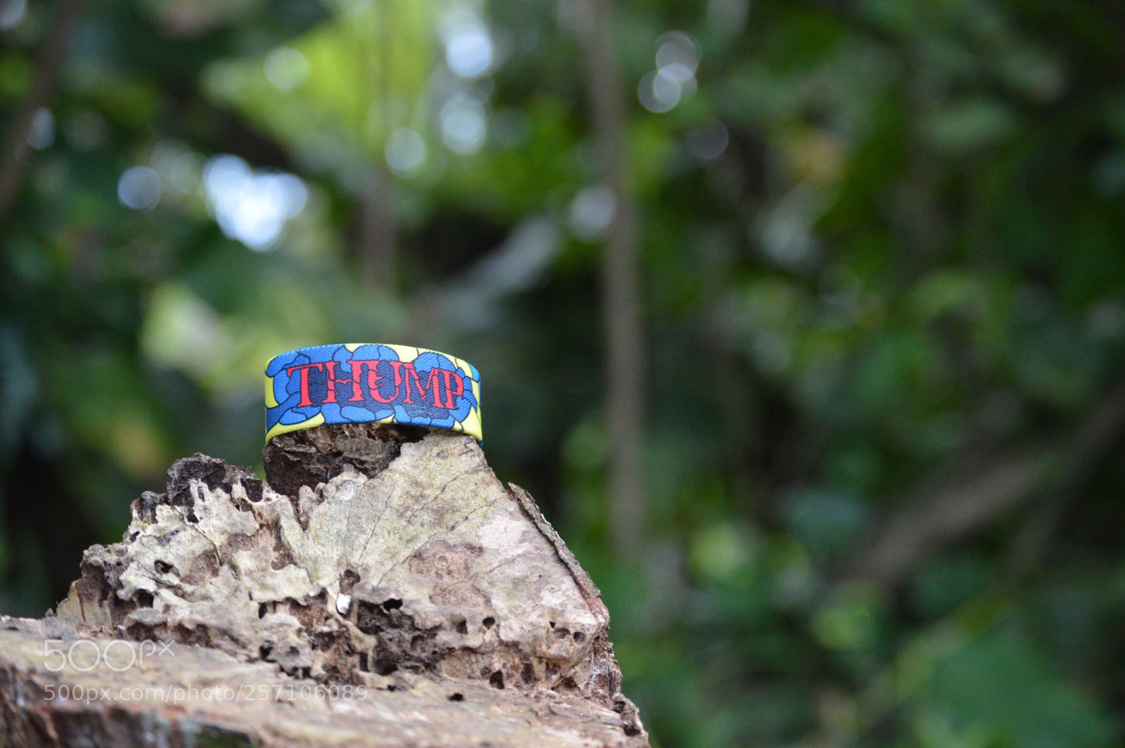 Nikon D3200 sample photo. Thump photography