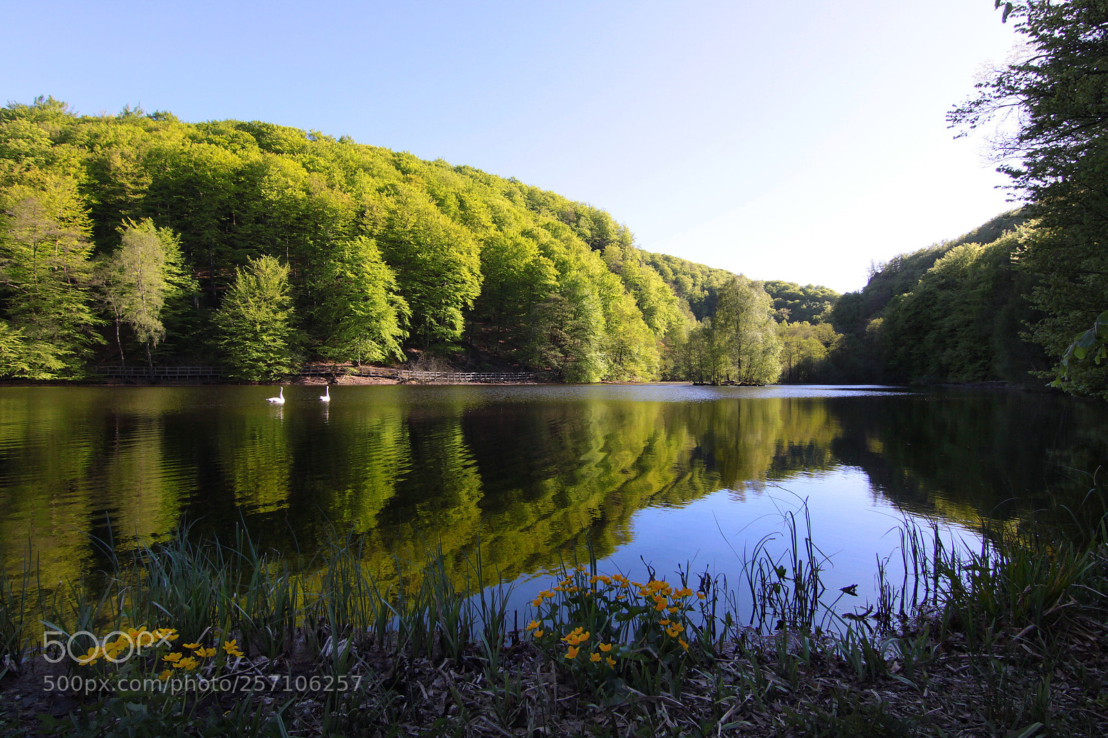 Canon EOS 50D sample photo. S der sens national photography