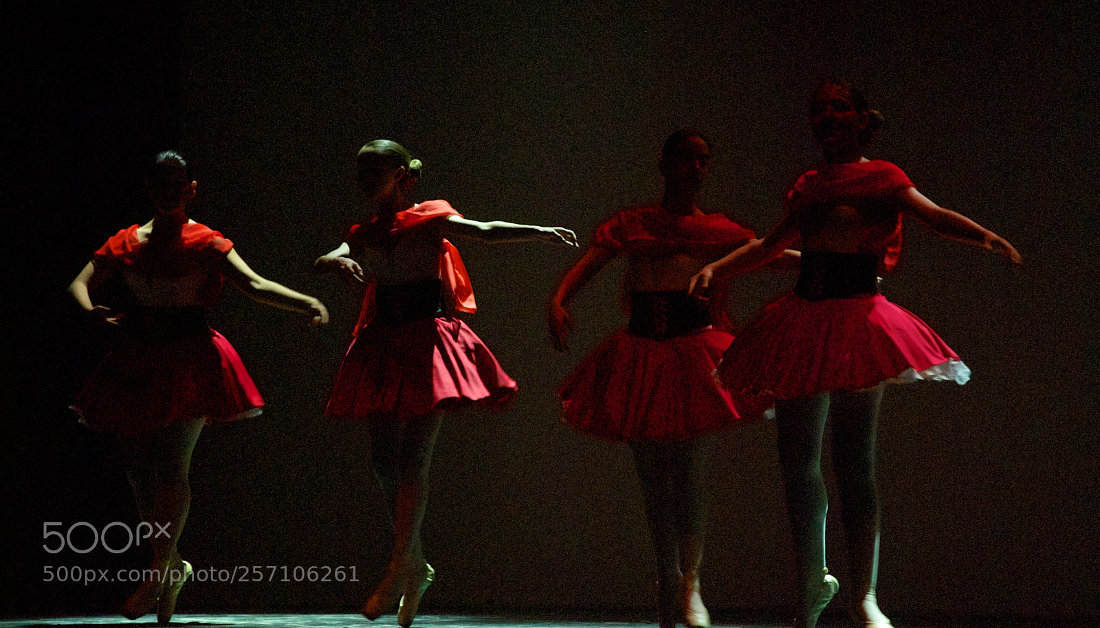 Nikon D60 sample photo. Version photography