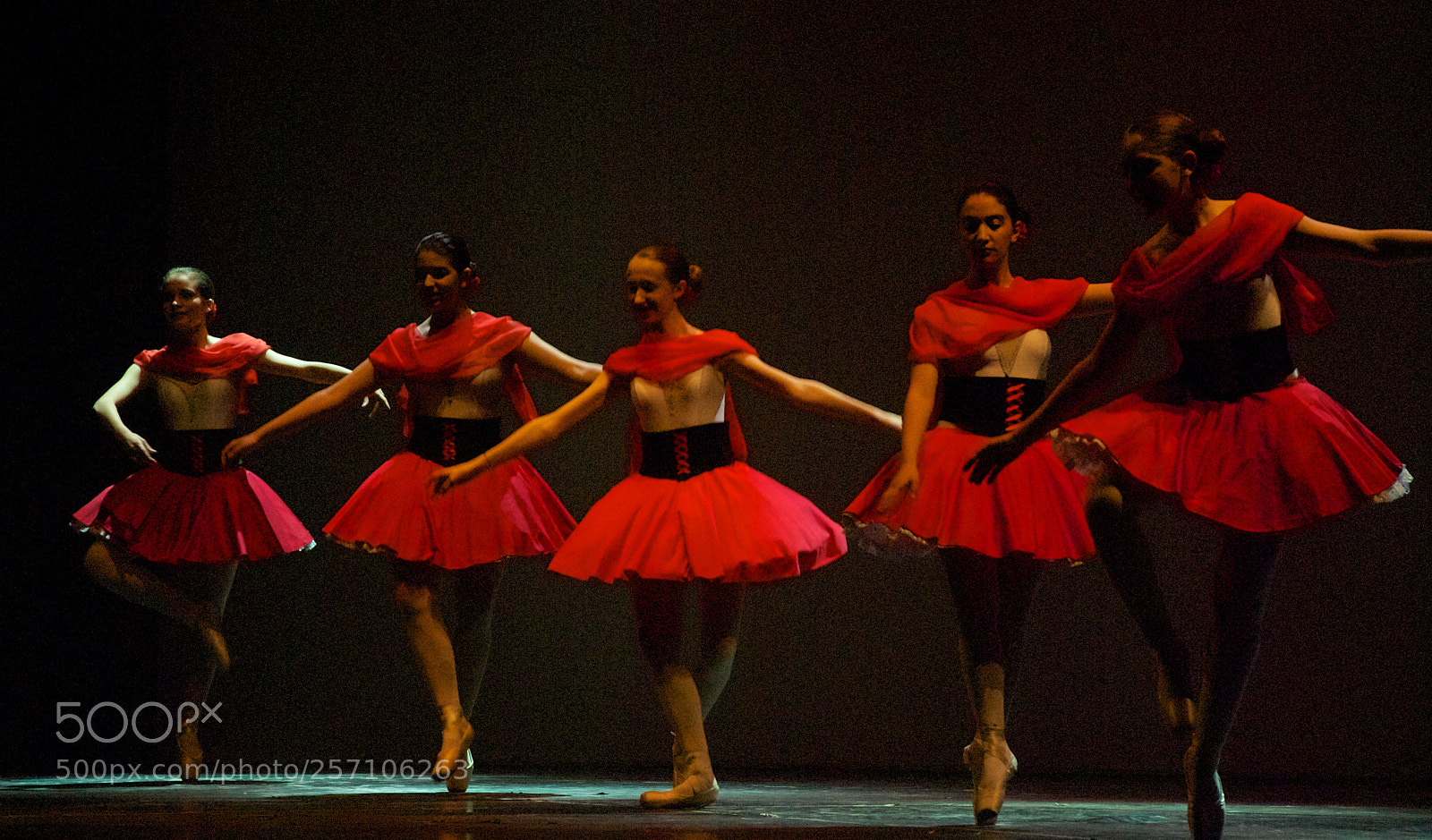 Nikon D60 sample photo. Version photography