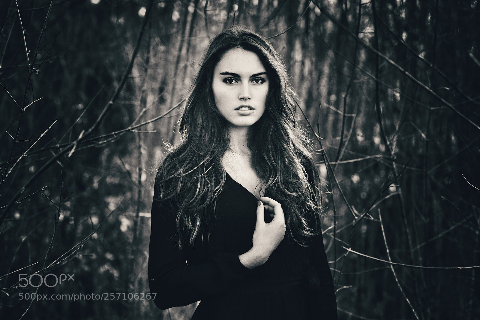 Nikon D800 sample photo. Charlotte  photography