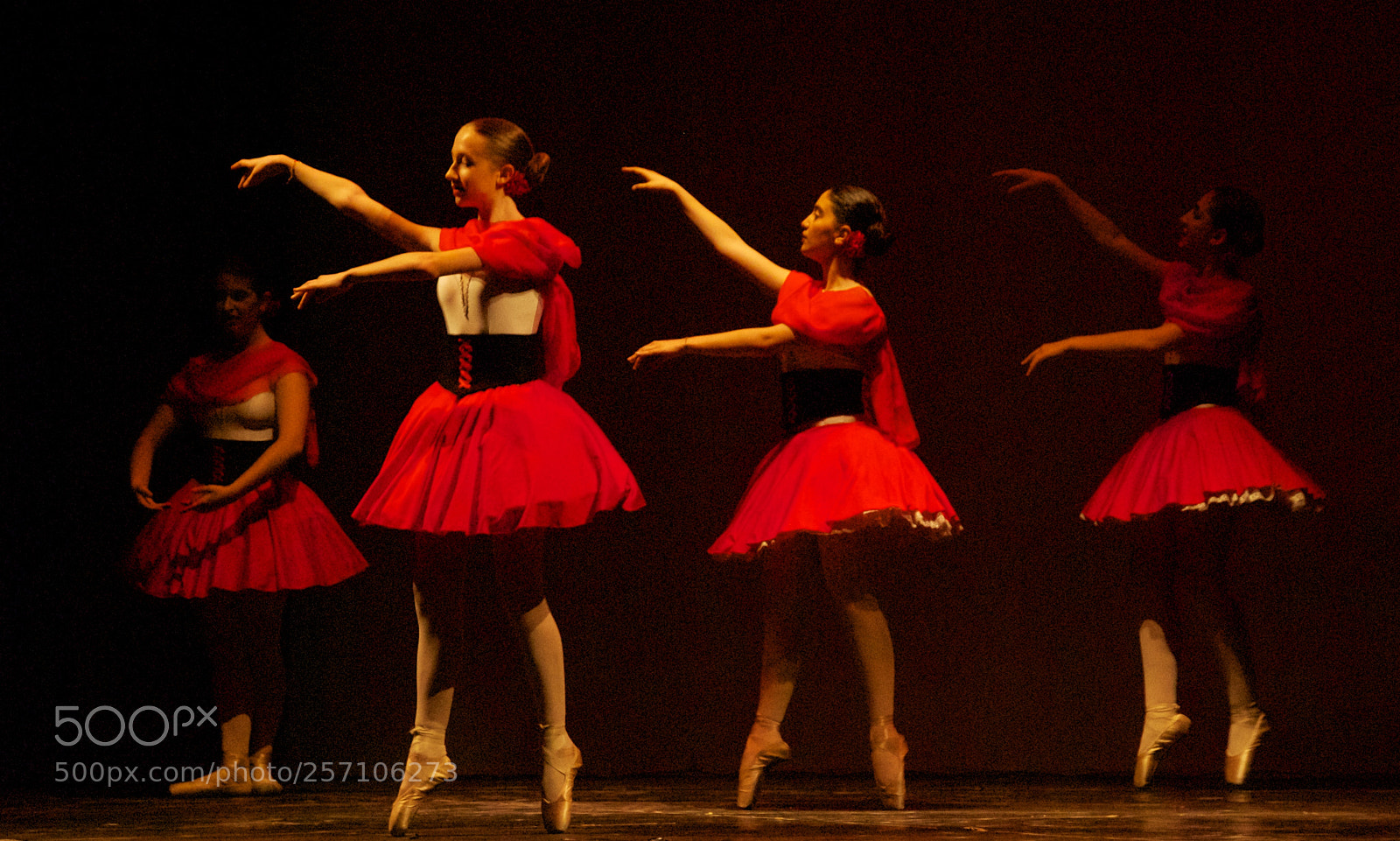Nikon D60 sample photo. Version photography