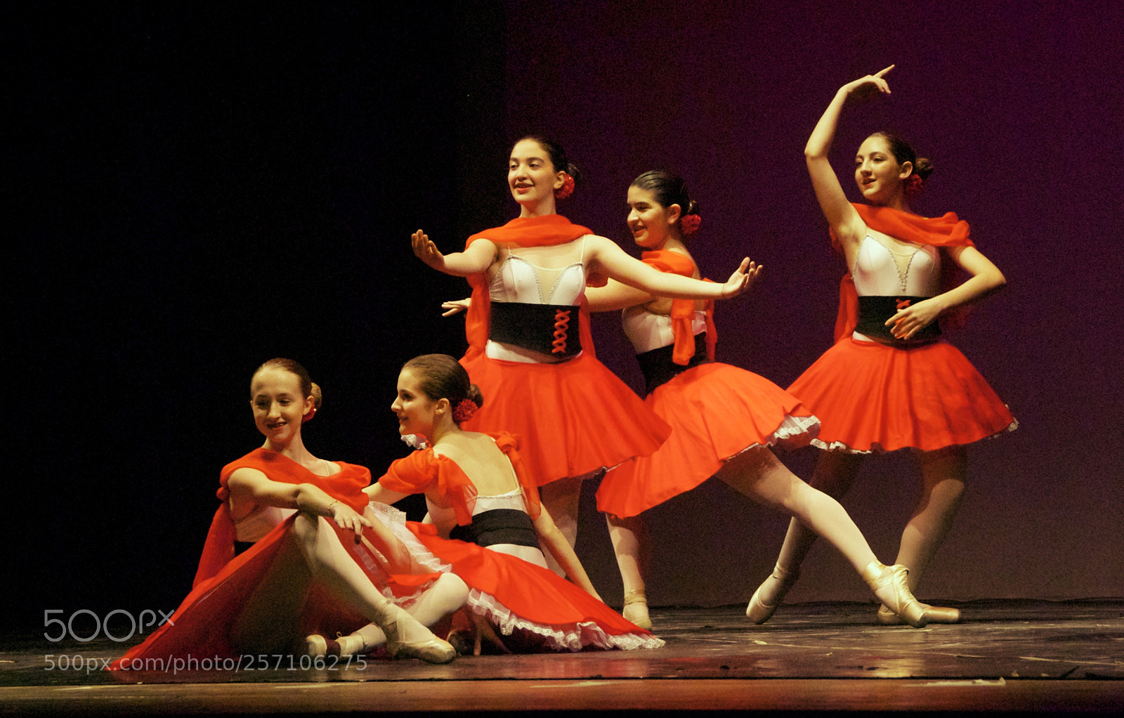 Nikon D60 sample photo. Version photography