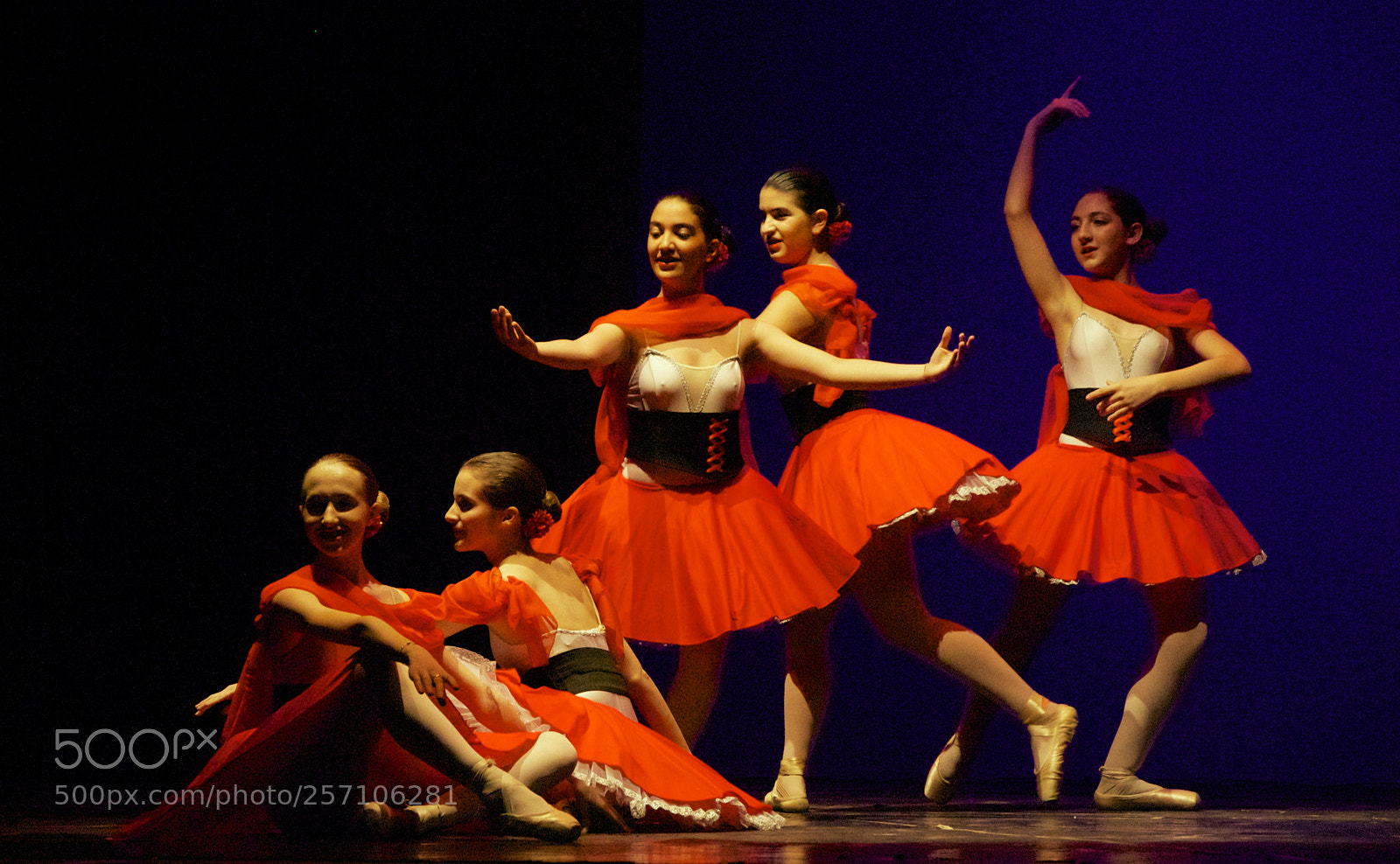 Nikon D60 sample photo. Version photography