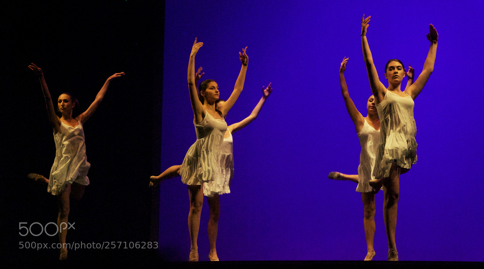 Nikon D60 sample photo. Version photography