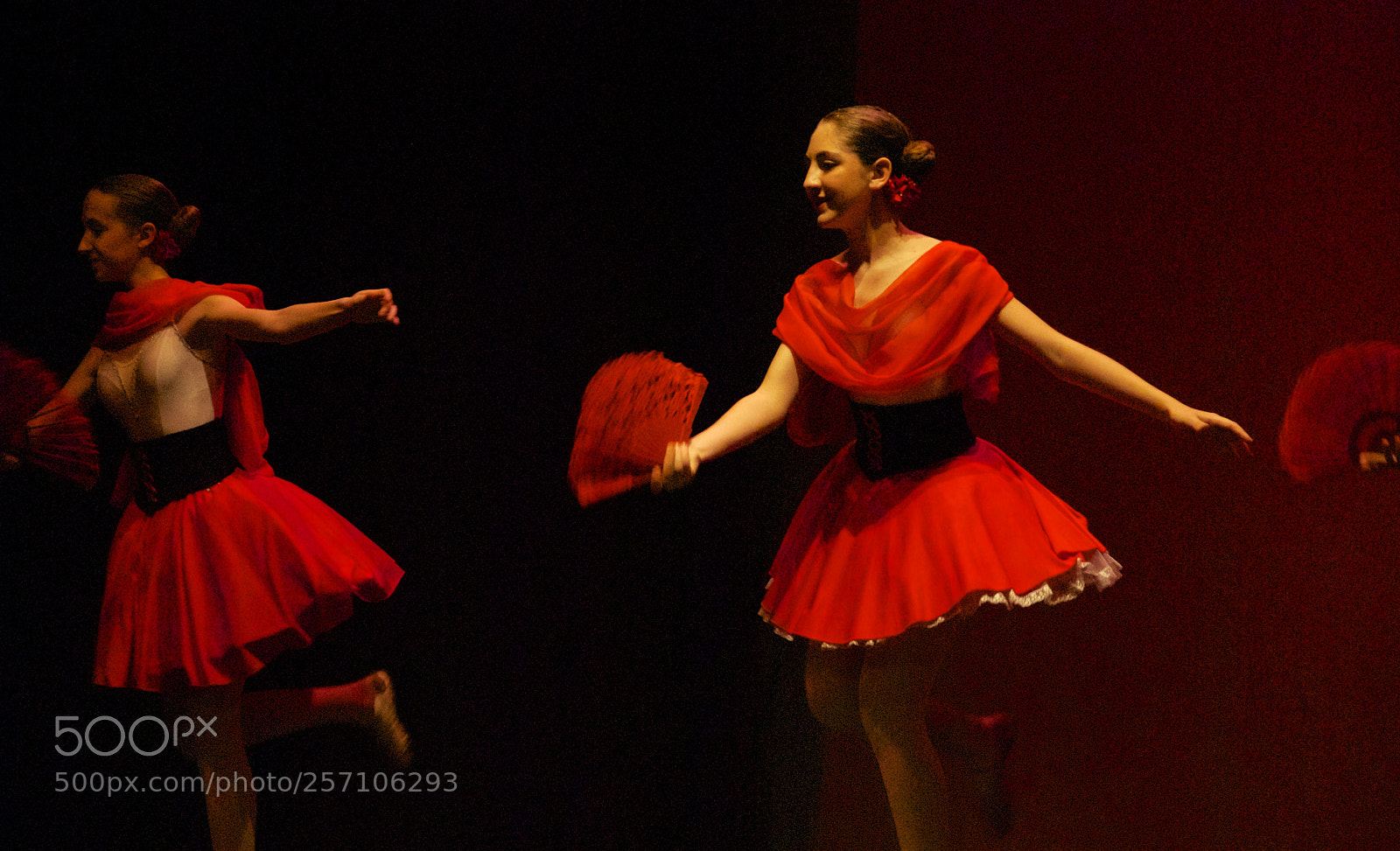 Nikon D60 sample photo. Version photography