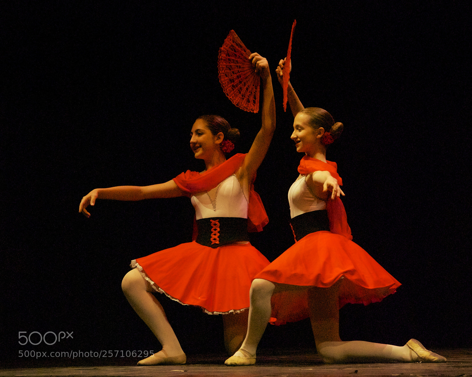 Nikon D60 sample photo. Version photography