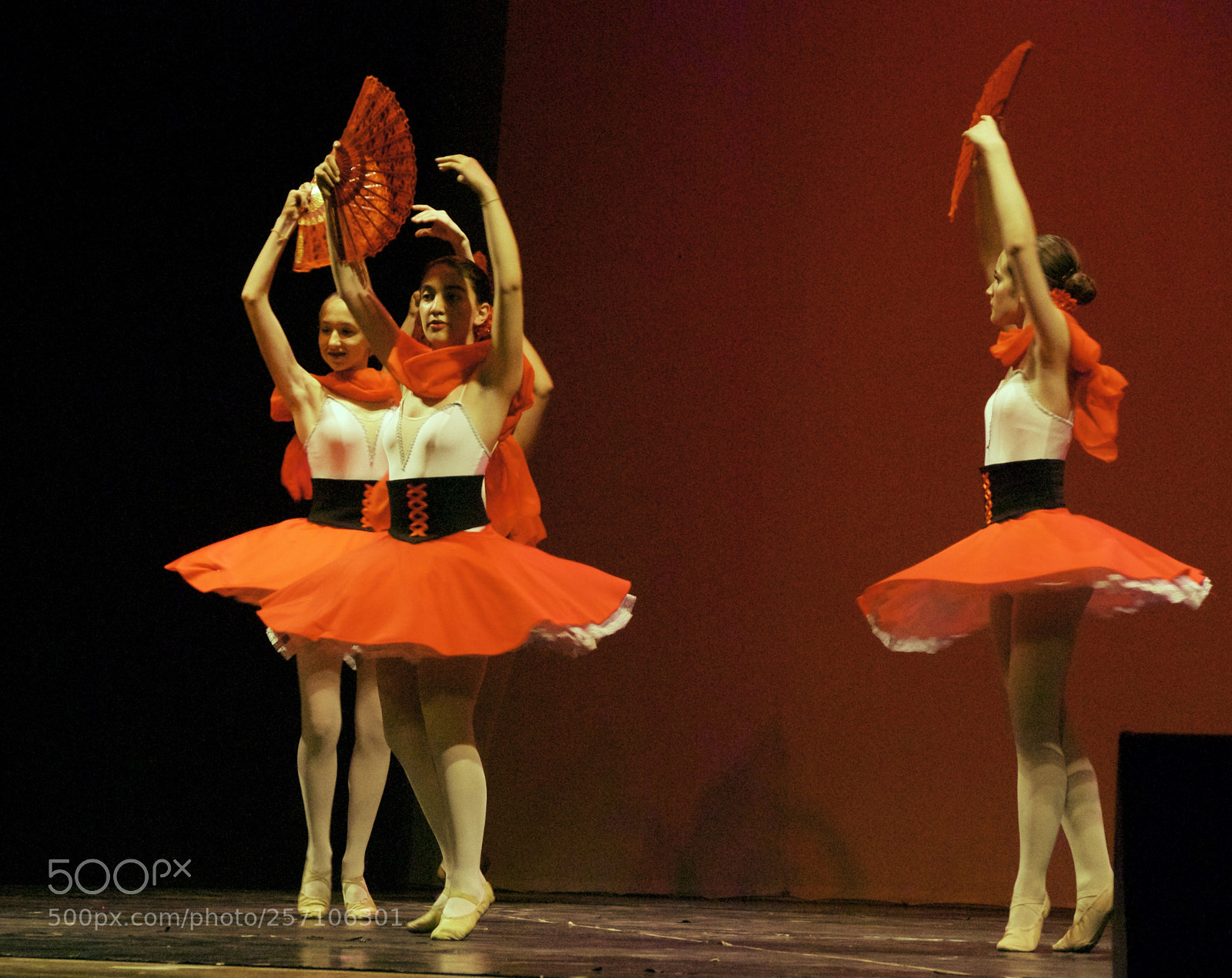 Nikon D60 sample photo. Version photography