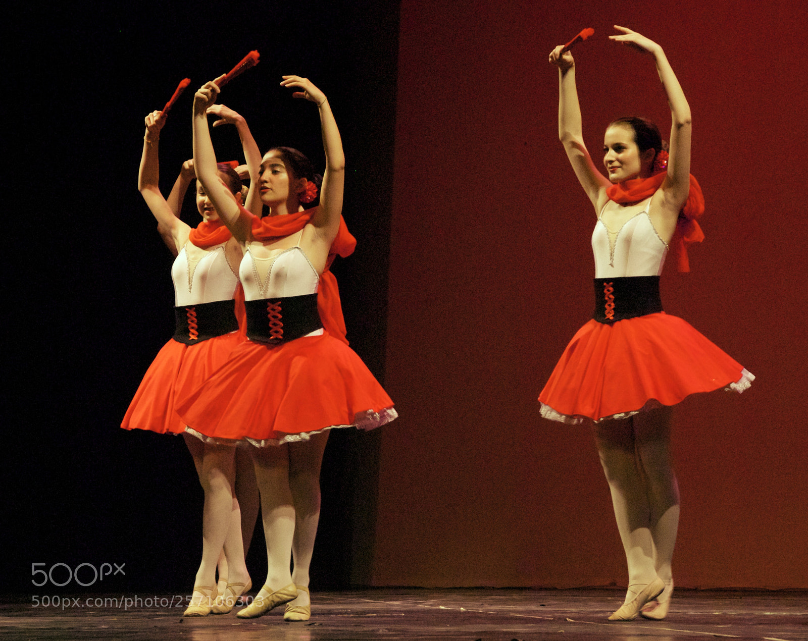 Nikon D60 sample photo. Version photography