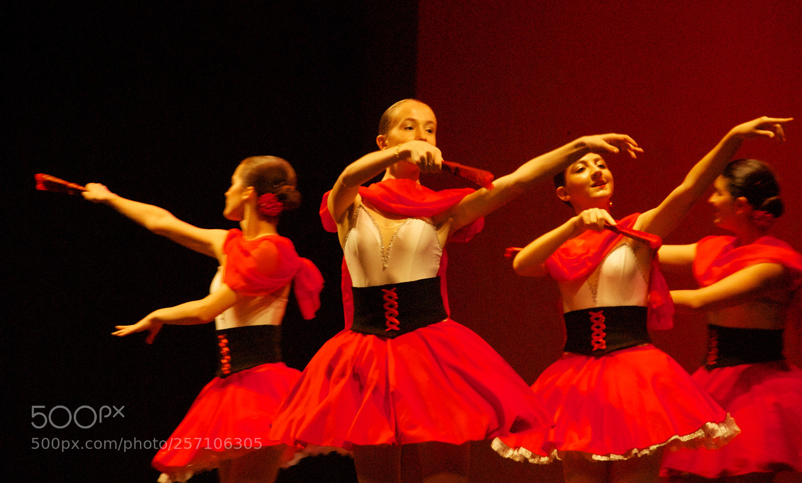 Nikon D60 sample photo. Version photography