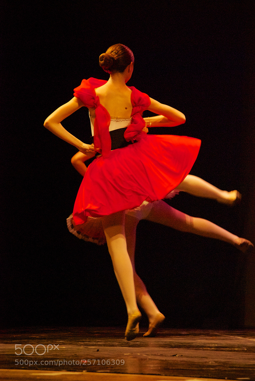 Nikon D60 sample photo. Version photography
