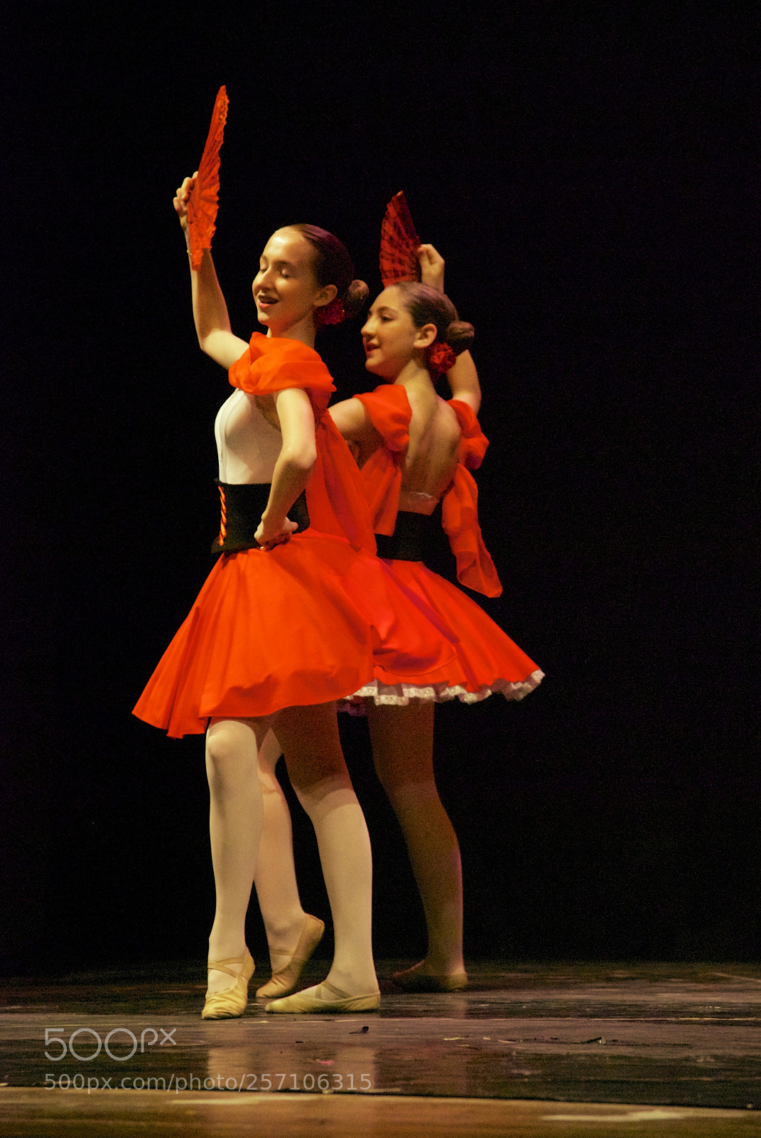 Nikon D60 sample photo. Version photography