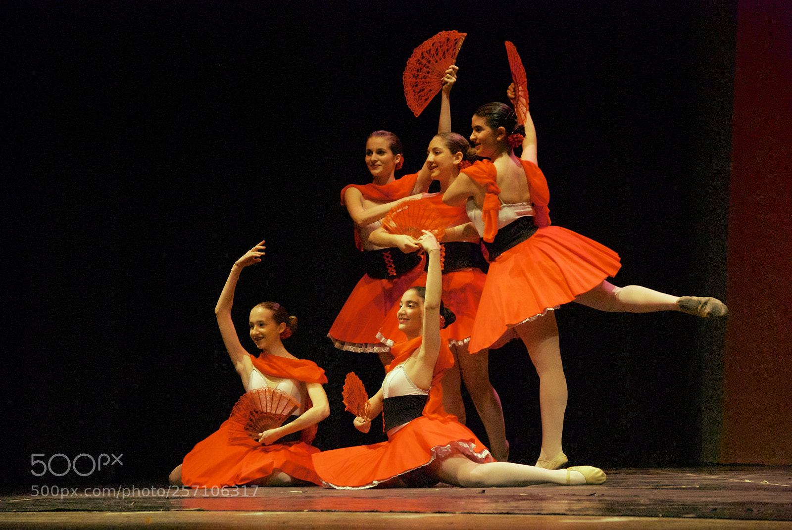Nikon D60 sample photo. Version photography