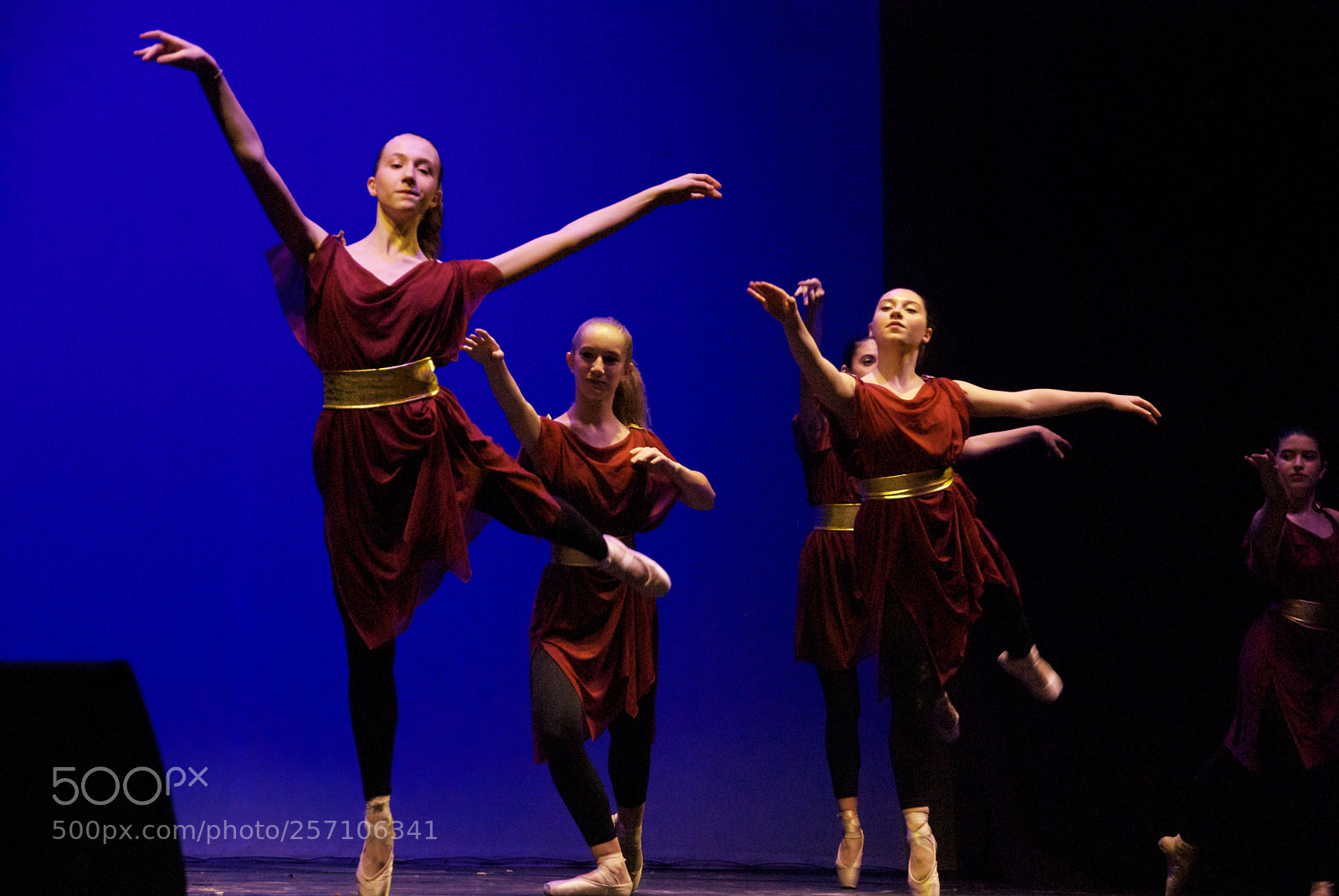 Nikon D60 sample photo. Version photography