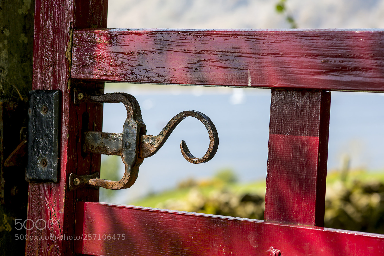 Nikon D800 sample photo. Gateway to the lakes photography