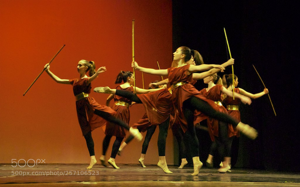 Nikon D60 sample photo. Version photography