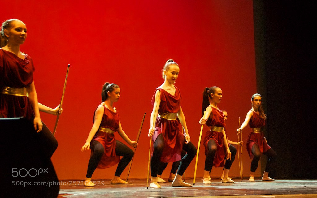 Nikon D60 sample photo. Version photography