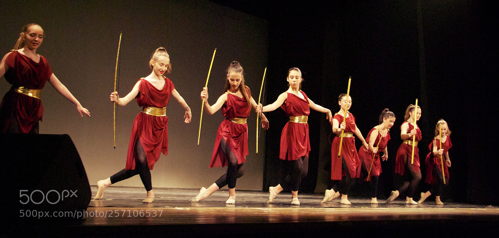 Nikon D60 sample photo. Version photography
