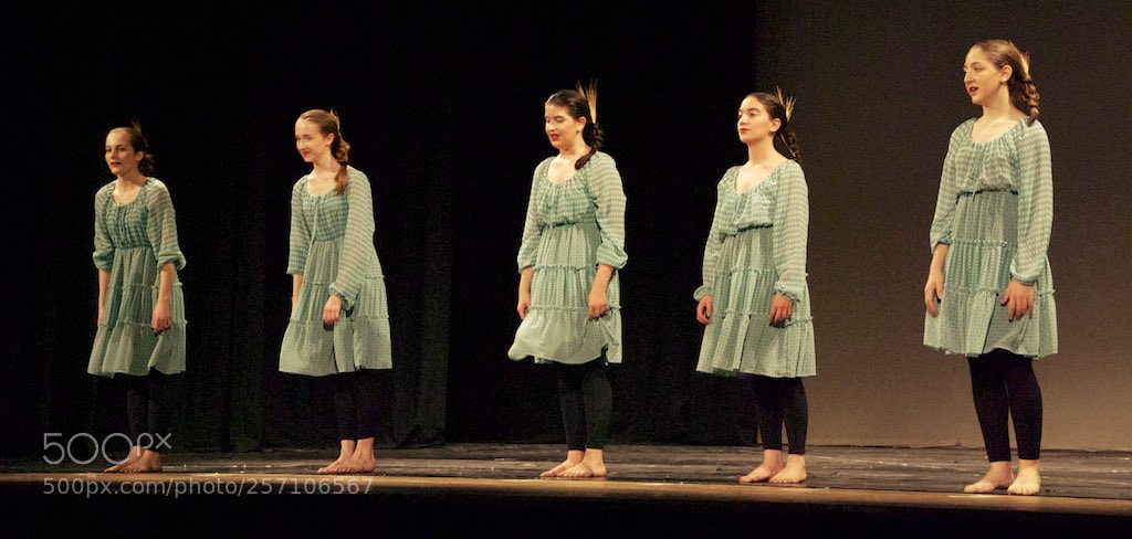 Nikon D60 sample photo. Version photography