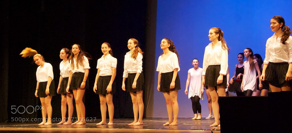 Nikon D60 sample photo. Version photography