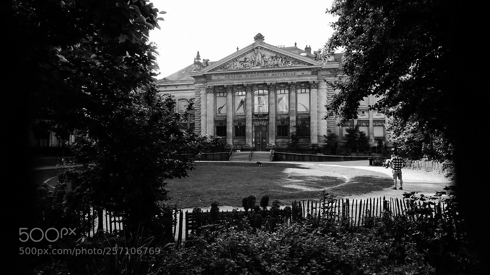 Fujifilm X70 sample photo. Muséum  photography