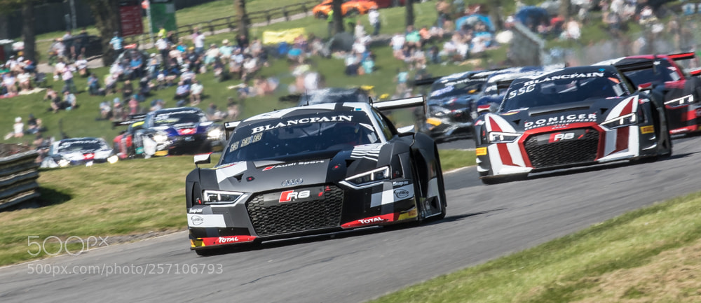 Canon EOS 7D Mark II sample photo. Audi r8 lms in photography