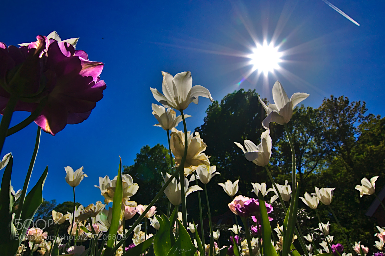 Nikon D90 sample photo. Solar collectors photography