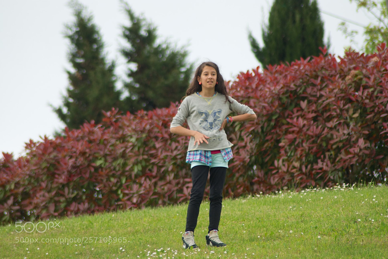 Nikon D60 sample photo. Version photography