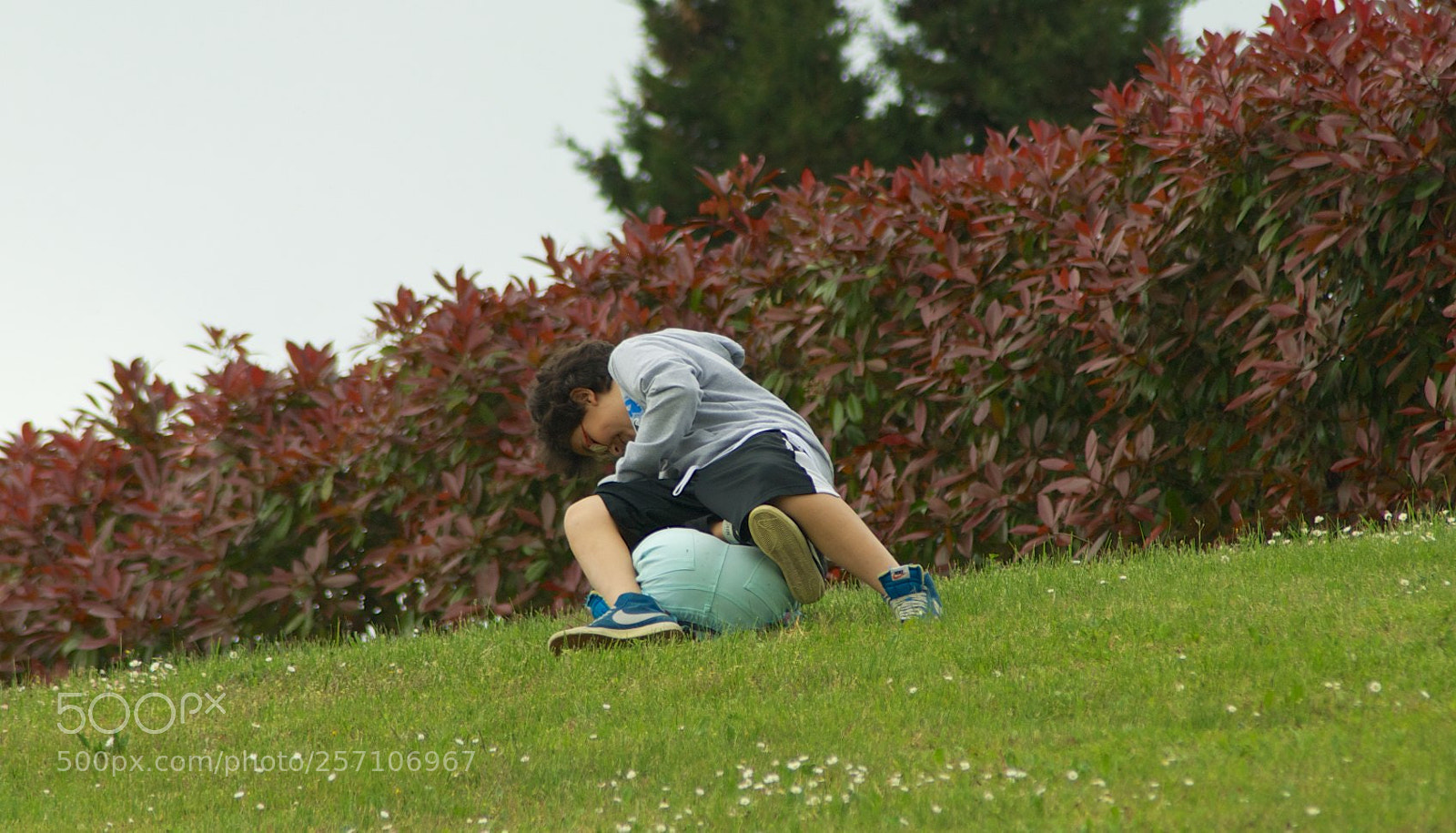 Nikon D60 sample photo. Version photography