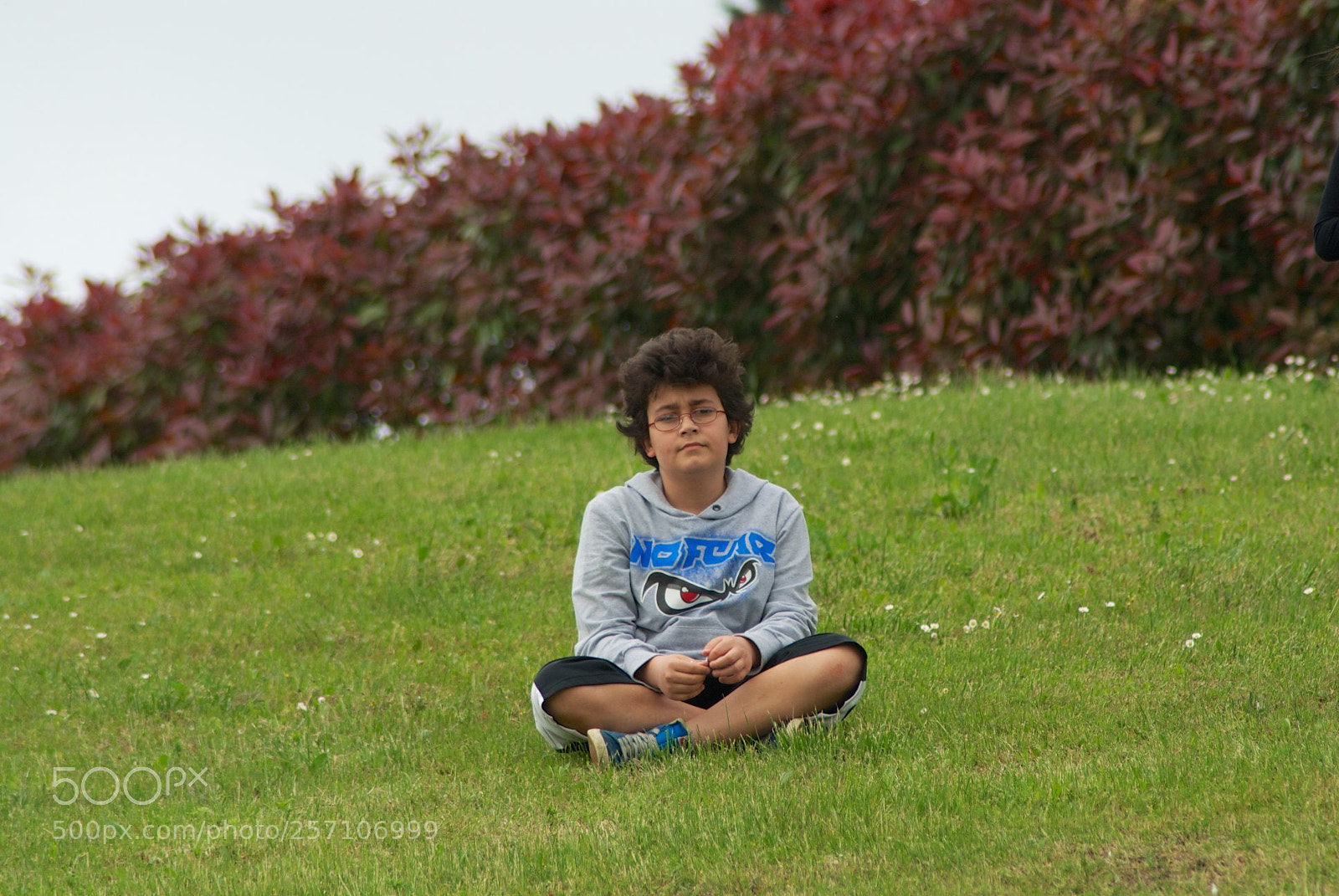 Nikon D60 sample photo. Version photography