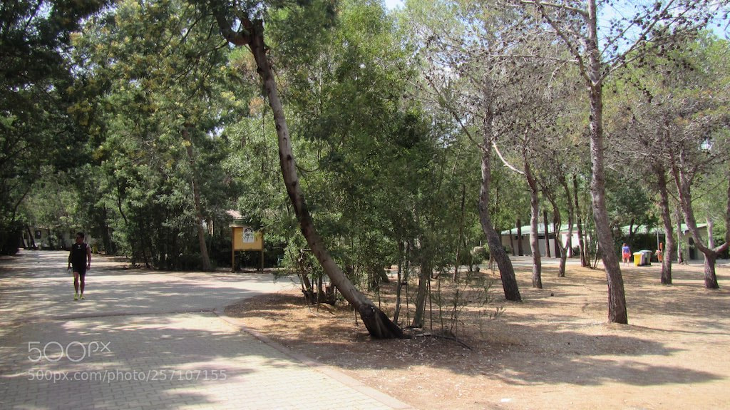 Canon PowerShot D30 sample photo. Img photography