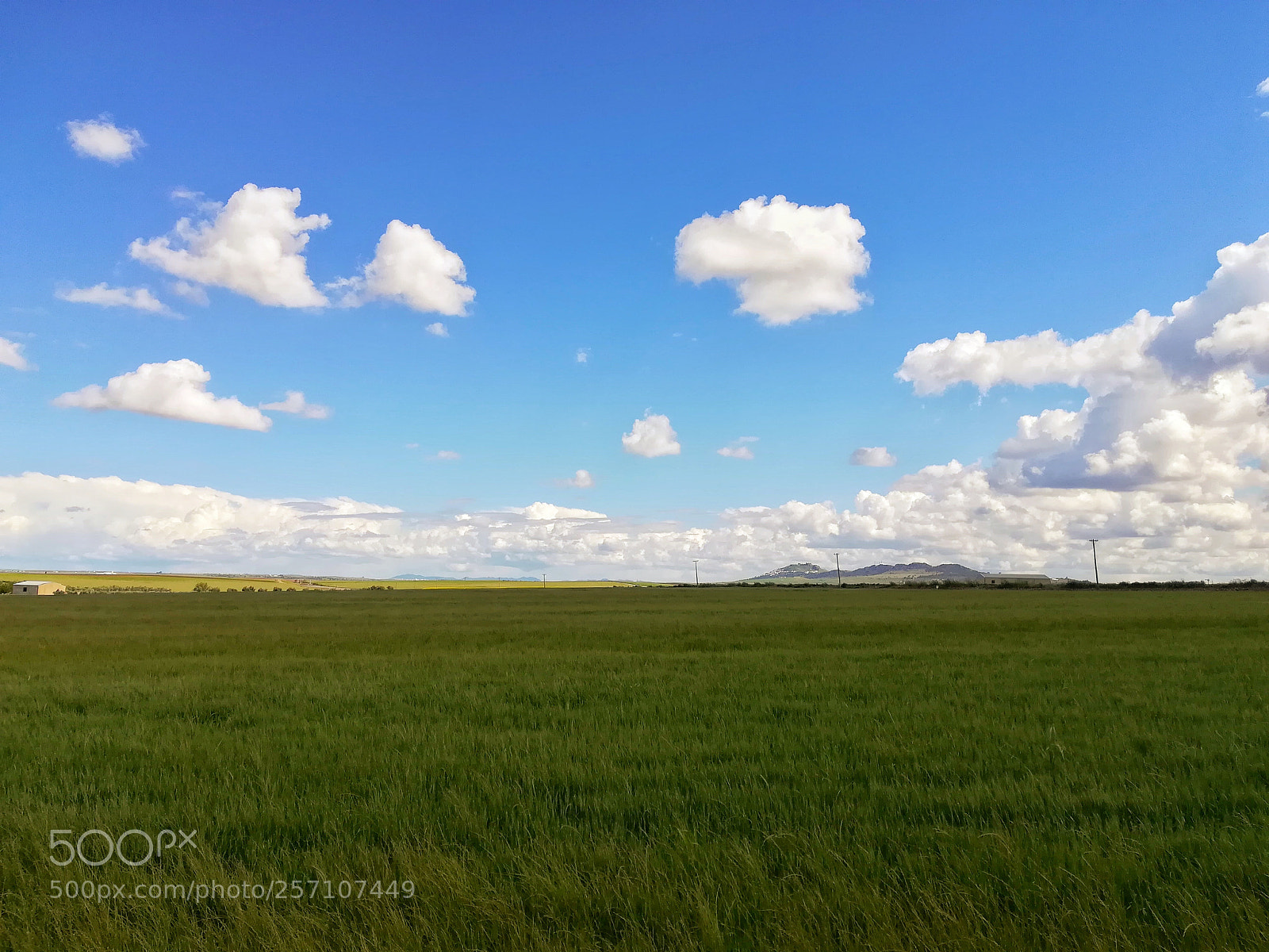 HUAWEI PRA-LX1 sample photo. Bliss photography