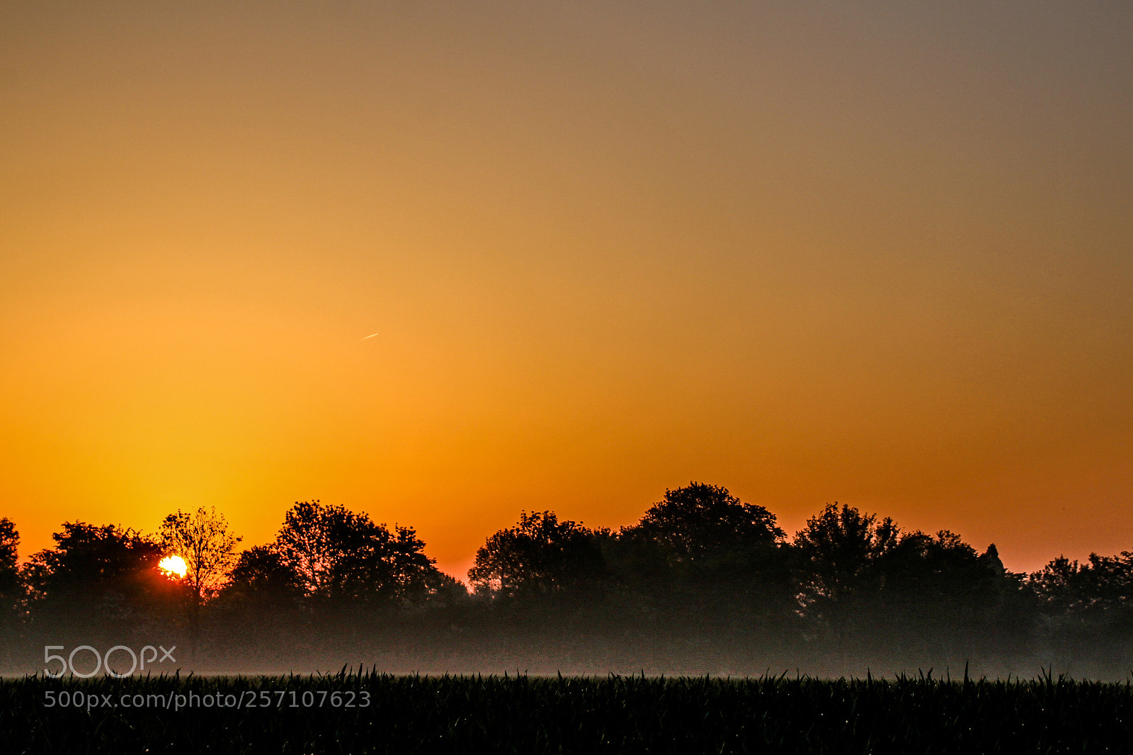Canon EOS 100D (EOS Rebel SL1 / EOS Kiss X7) sample photo. Sunrise. lever de soleil photography