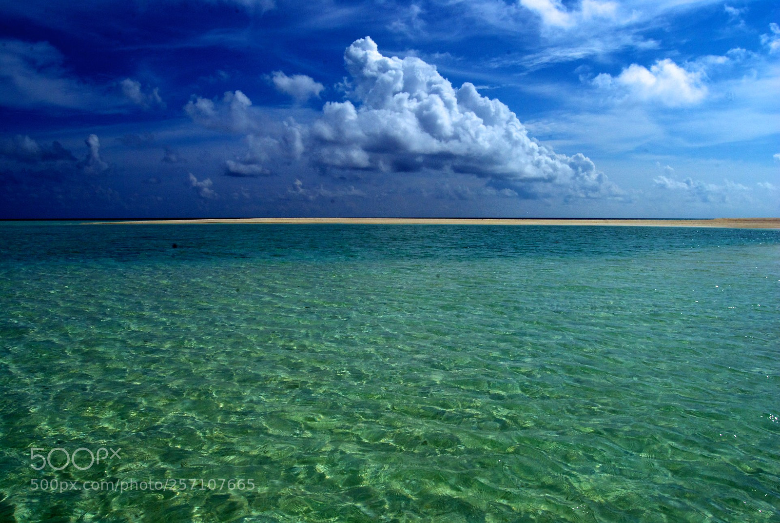 Nikon D60 sample photo. Version photography